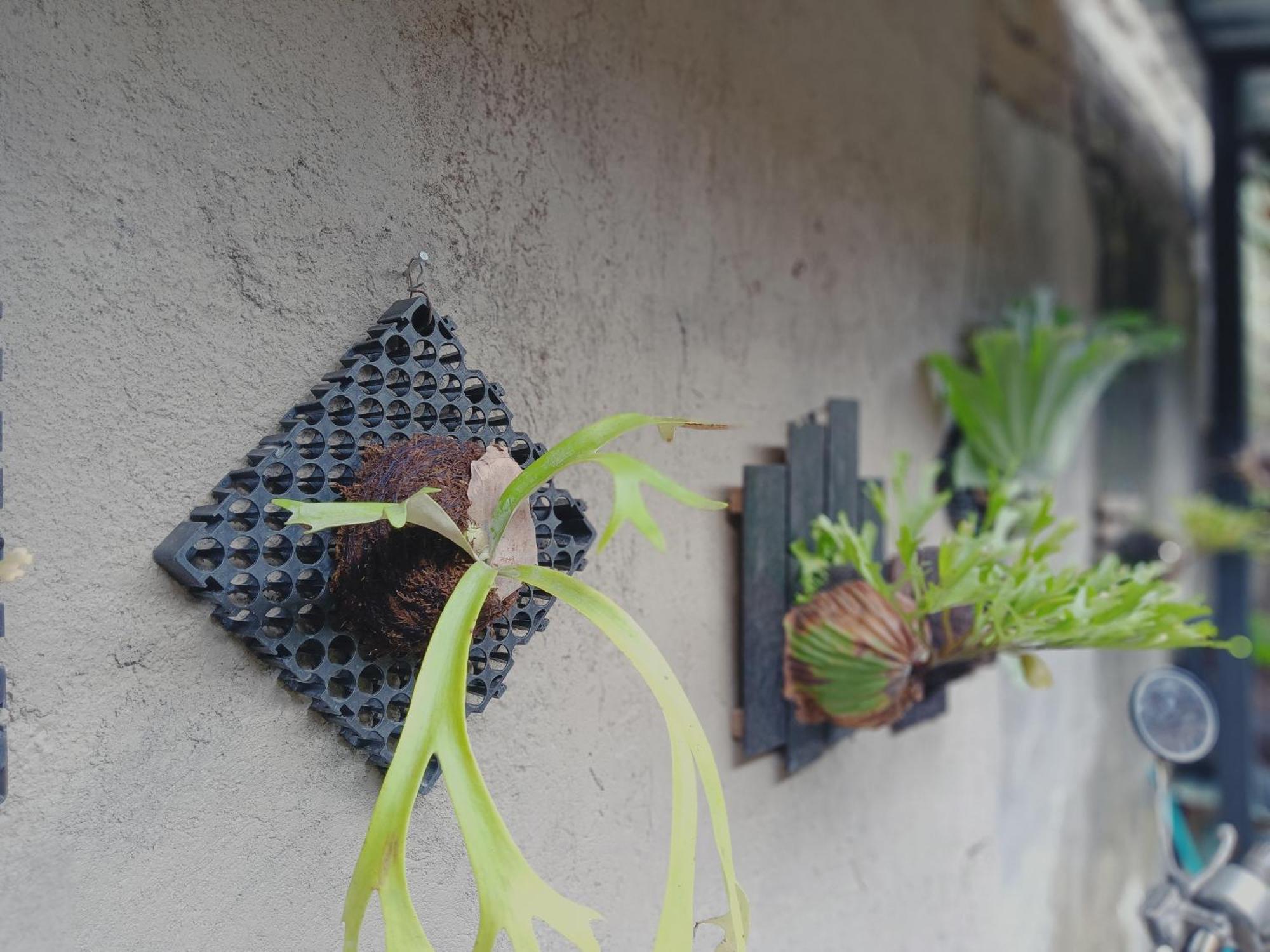 Sudana Homestay Ubud Zewnętrze zdjęcie