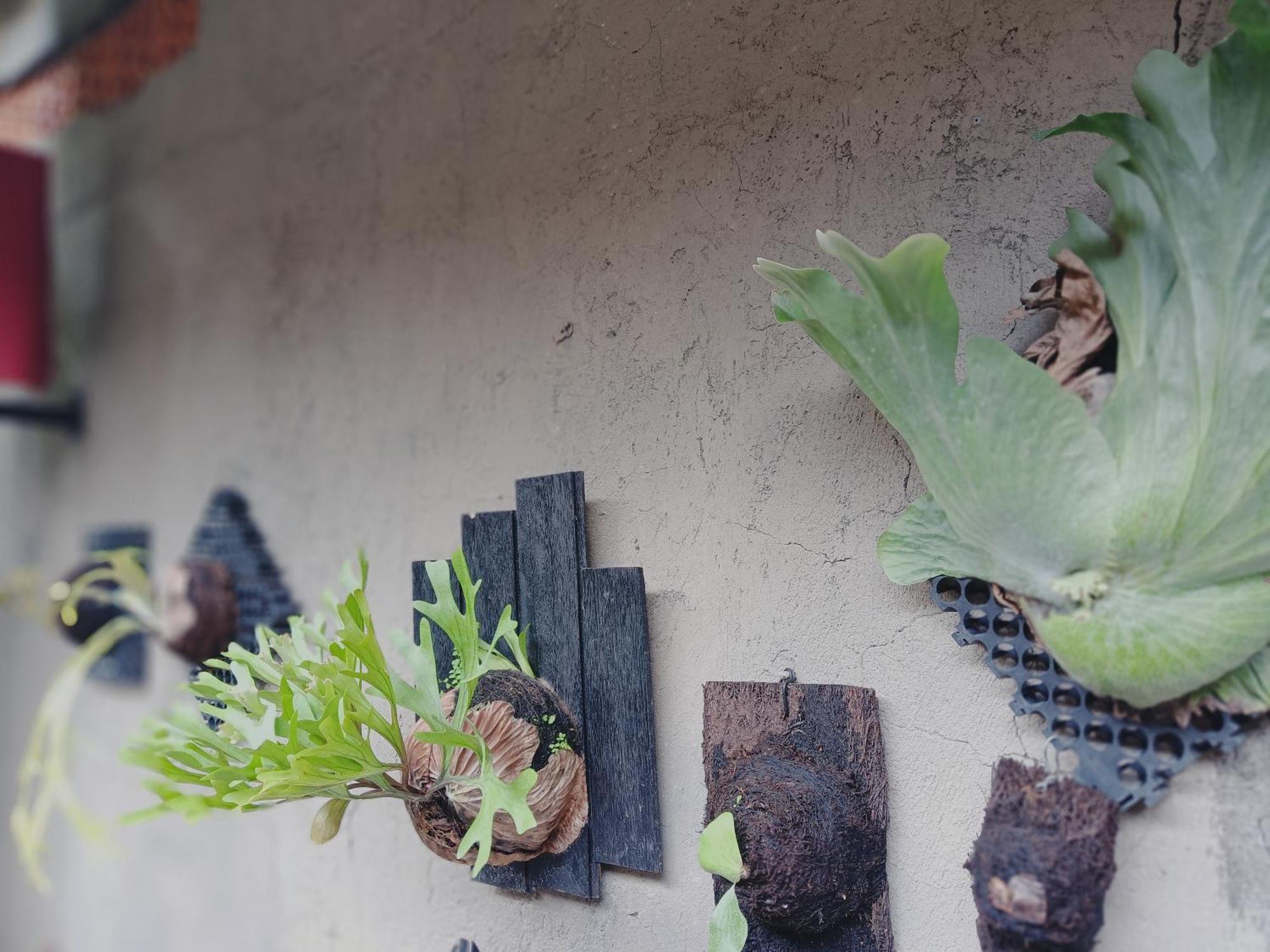 Sudana Homestay Ubud Zewnętrze zdjęcie