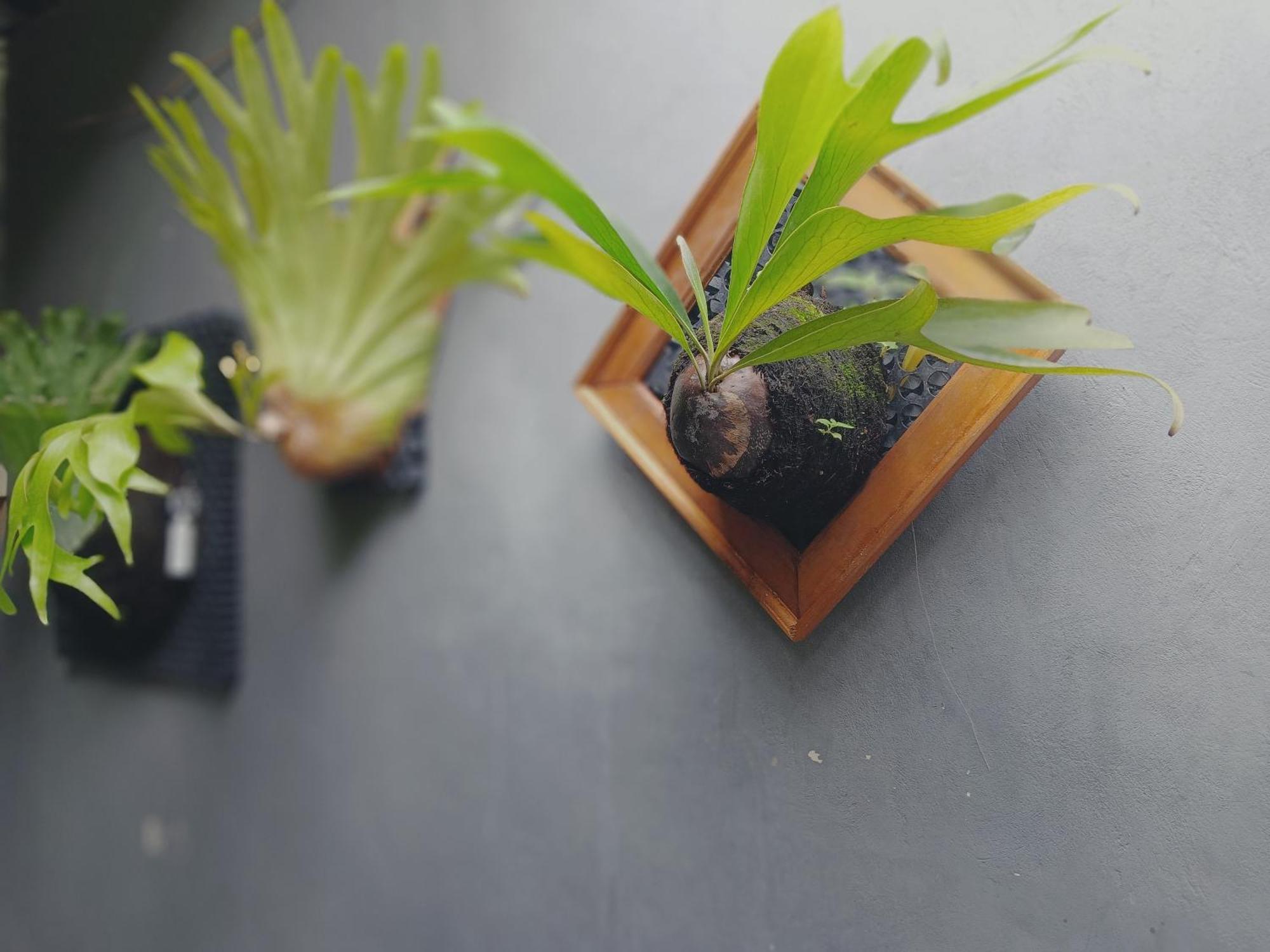 Sudana Homestay Ubud Zewnętrze zdjęcie